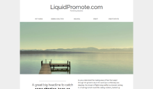 liquidpromote.com